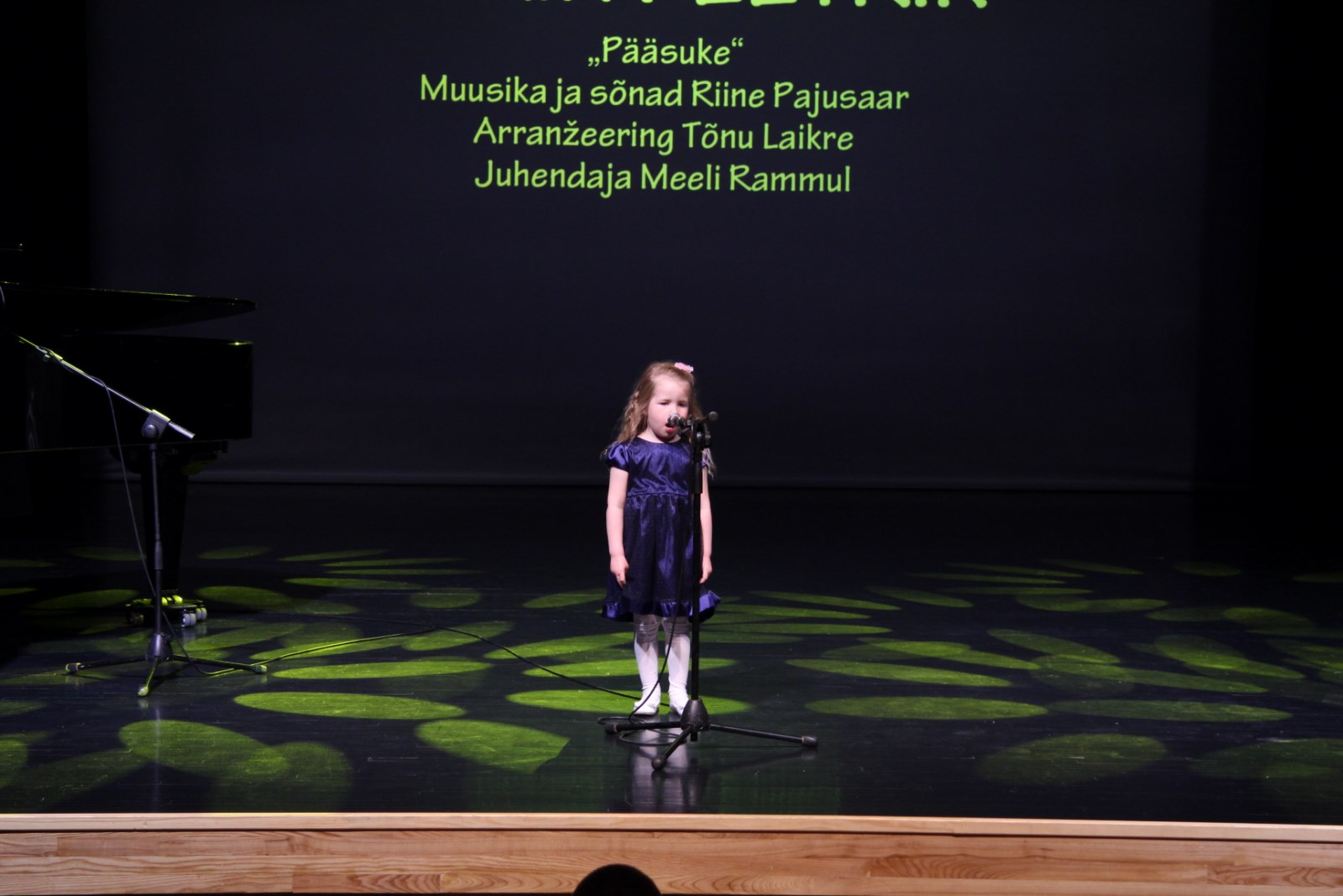 Valgamaa Laulukarusell 2018